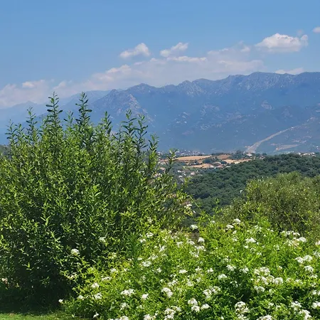 Bas De Aux Portes D'ajaccio *