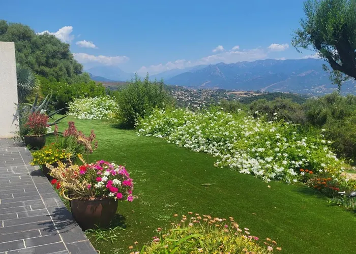 Bas De Aux Portes D'ajaccio * Alata