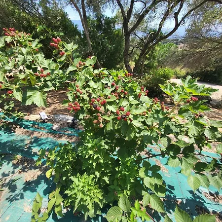 Bas De Aux Portes D'ajaccio * Alata