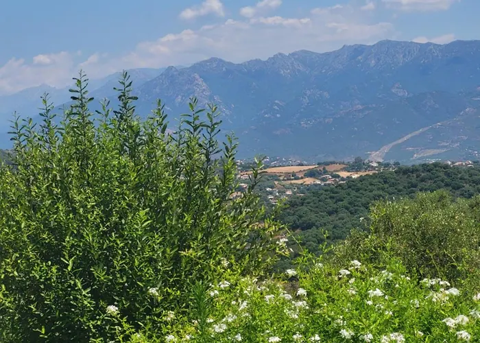 Bas De Aux Portes D'ajaccio *